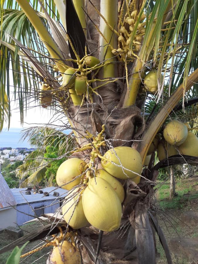 Homestay Veronia Port Mathurin