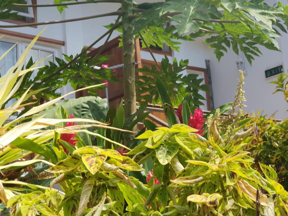 Bed & Breakfast Les Antigones