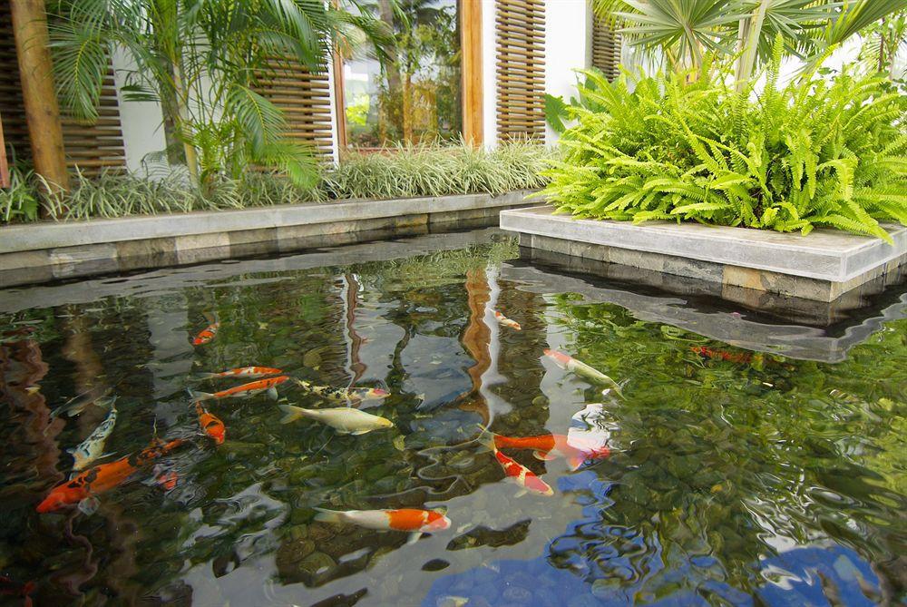 Hotel Laguna Beach Hotel&spa Grand River South East