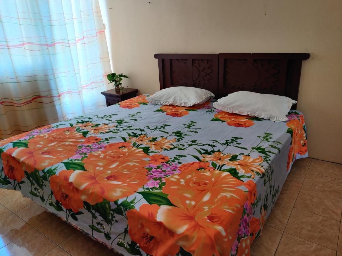 Bob Apartment Calodyne