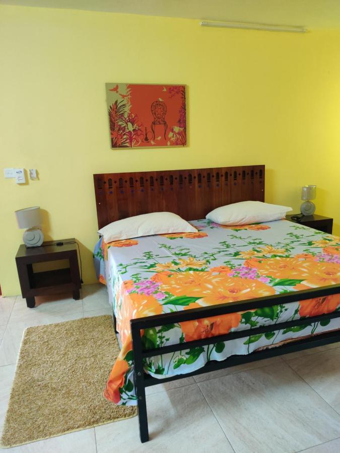 Bob Apartment Calodyne