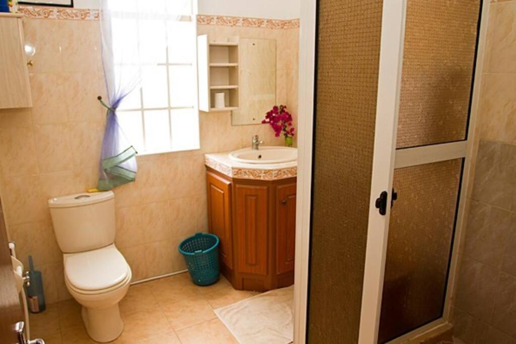 Palmistes Apartamento