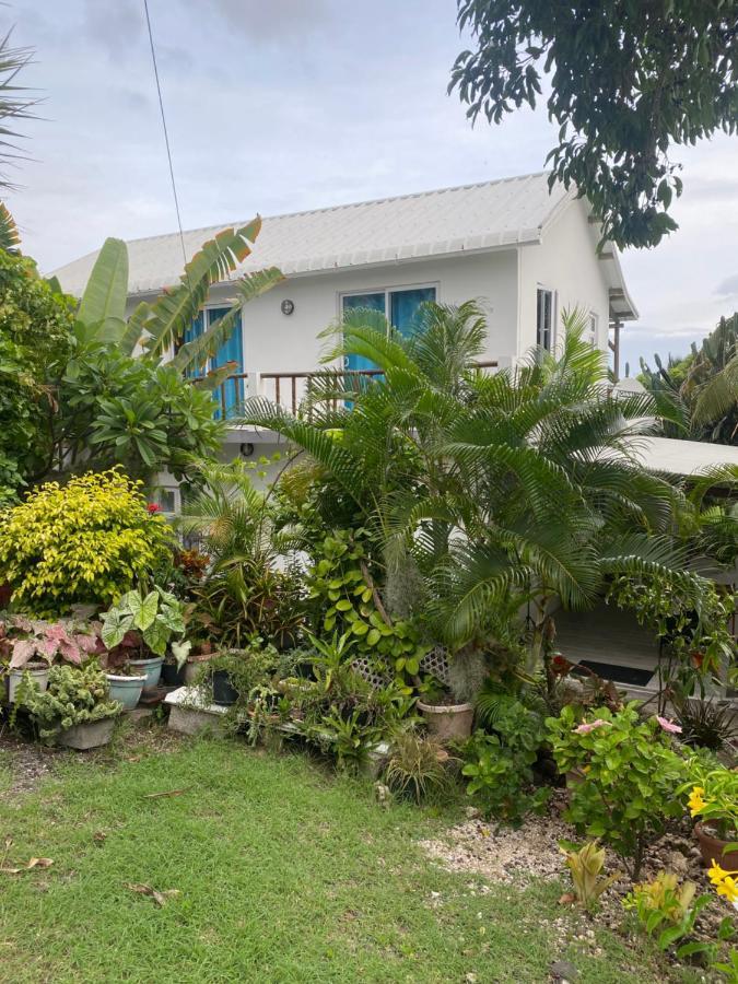 Bed & Breakfast Tigraviers