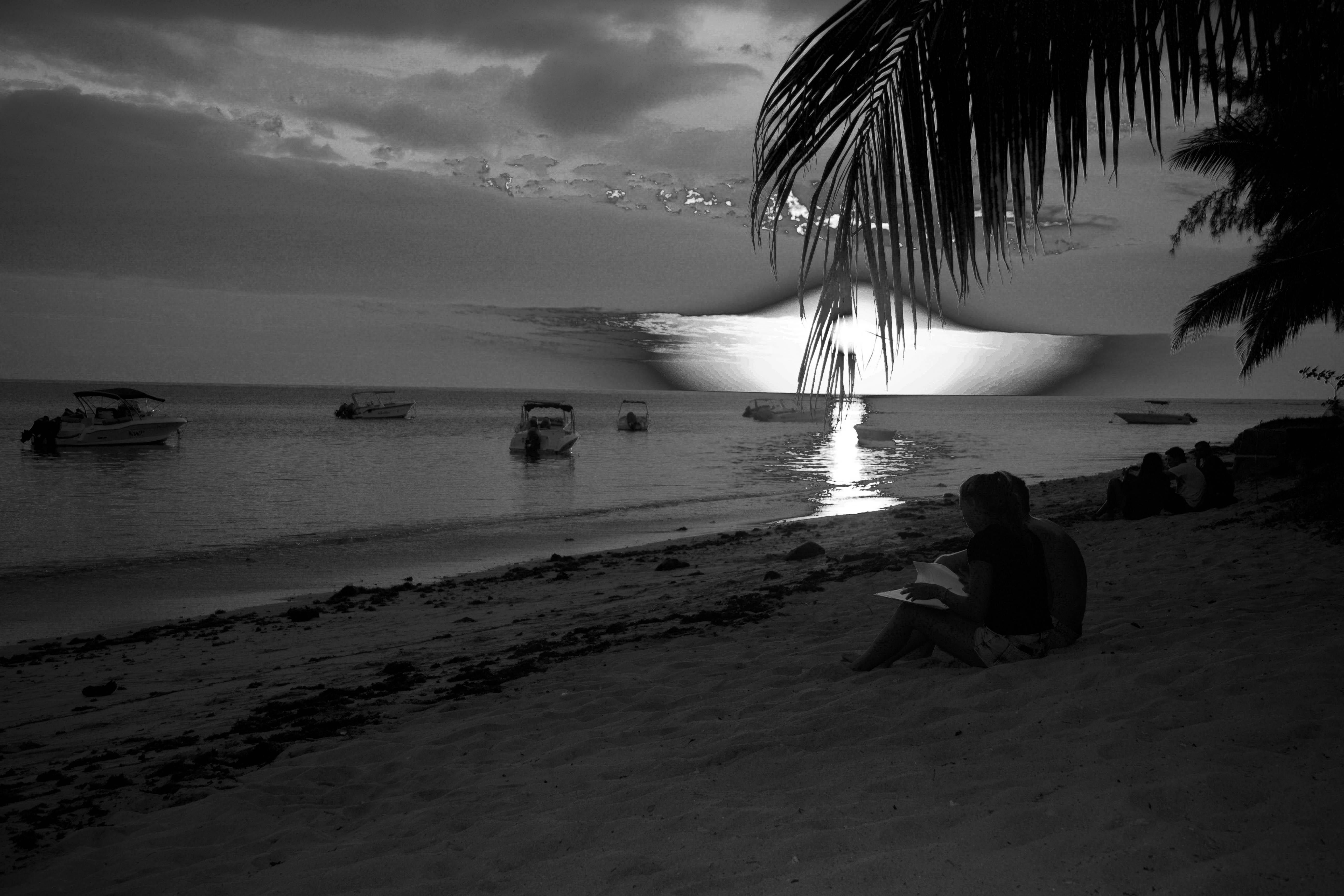 Hotel La Mariposa Mauritius 3*