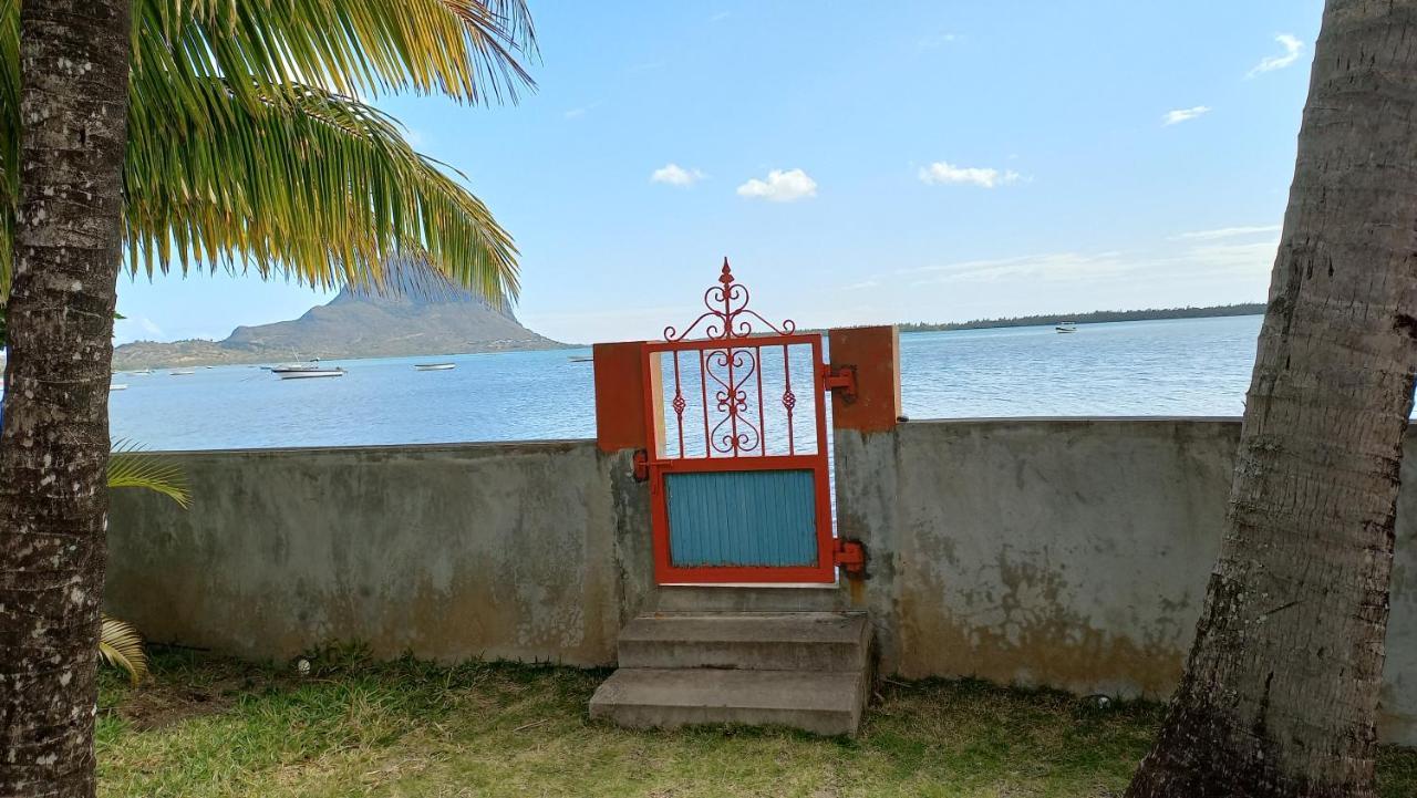 Apartment Seaview - *