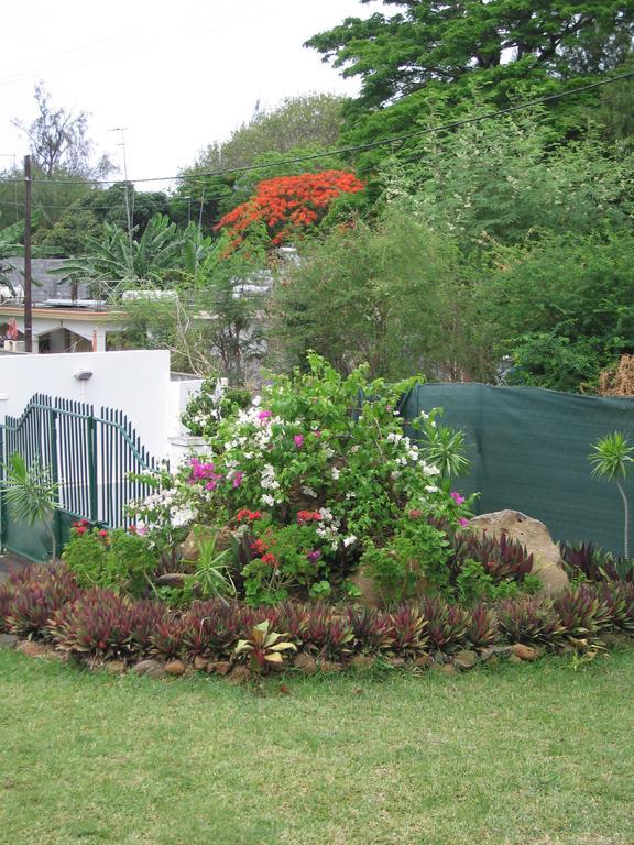 Guest house Osumare *