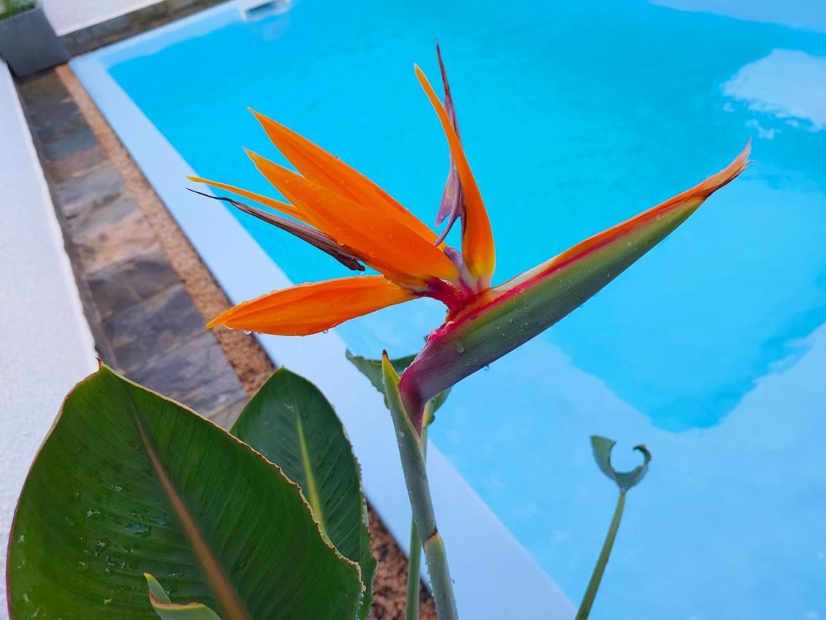 Apartment Golden Square & Private Pool *