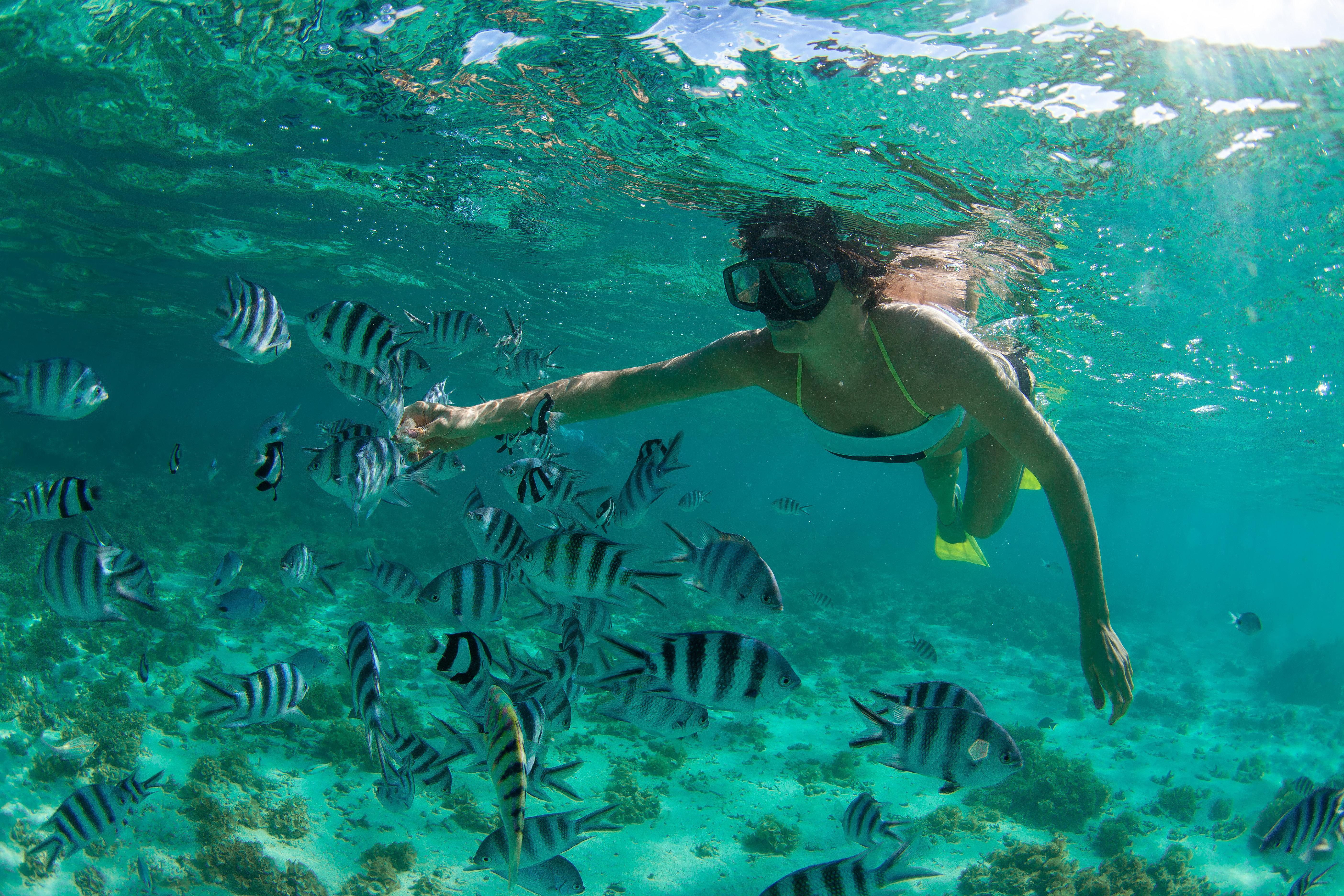 Intercontinental Mauritius By Ihg Resort Balaclava