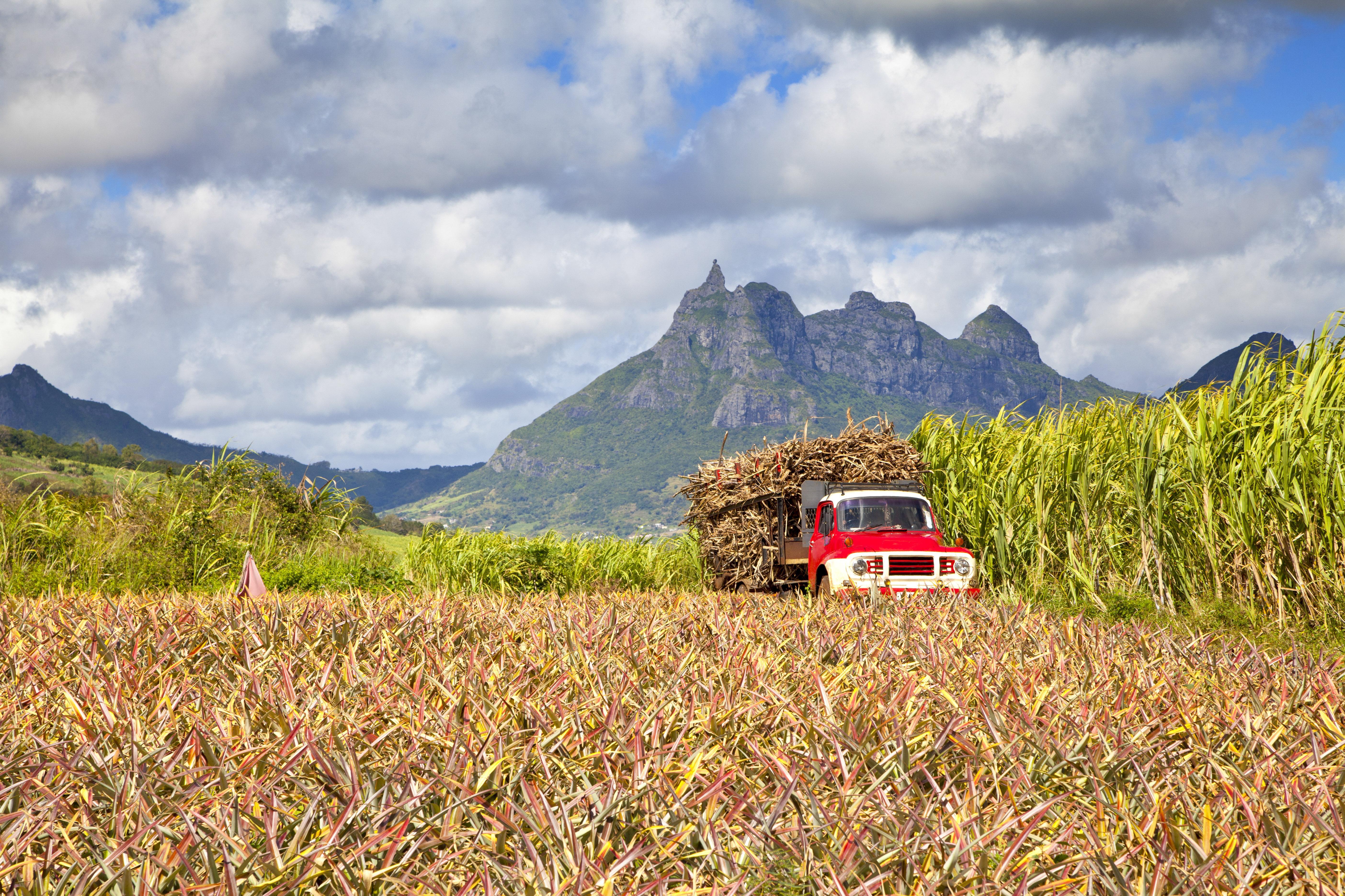 Intercontinental Mauritius By Ihg Resort Balaclava