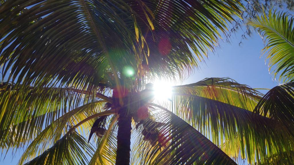Lodge Coconuts Grand Baie