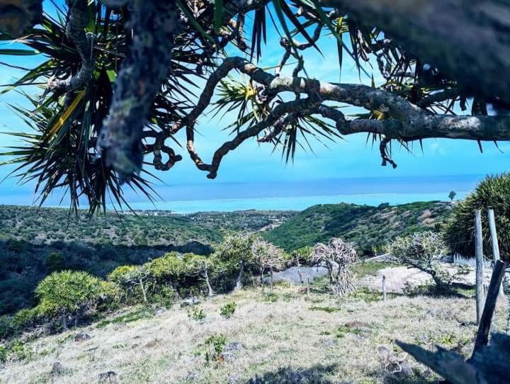 Veronia * Port Mathurin