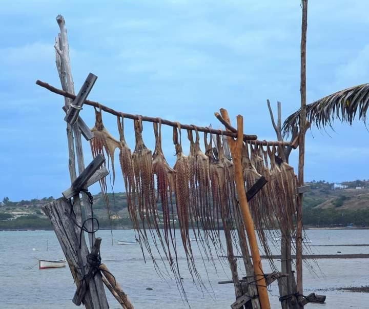 Veronia Homestay Port Mathurin