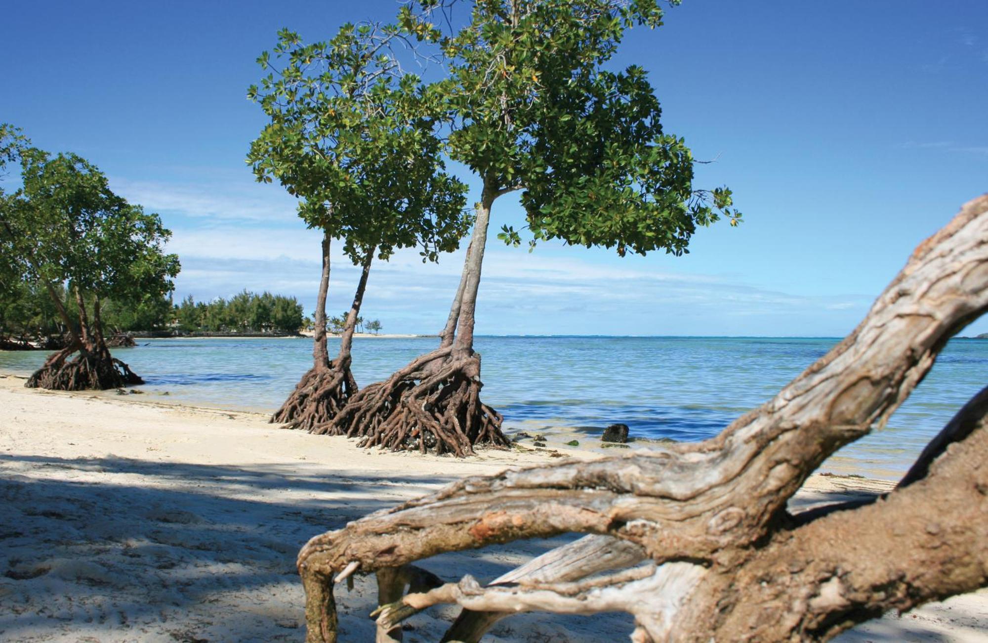 Jalsa Beach & Spa Hotel 3*