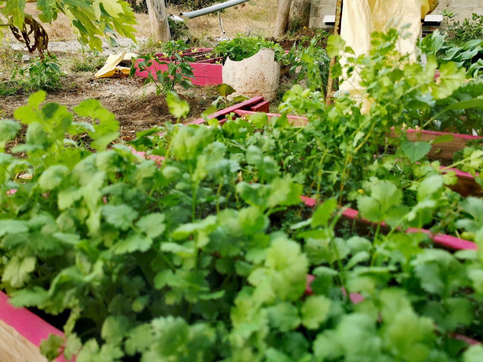 Panoramic Paradise Guest house *