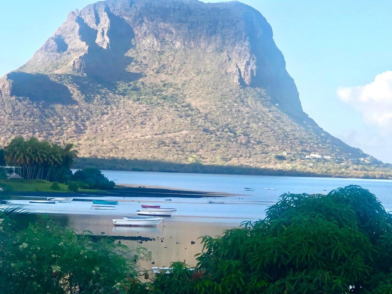 Lavender Le Morne