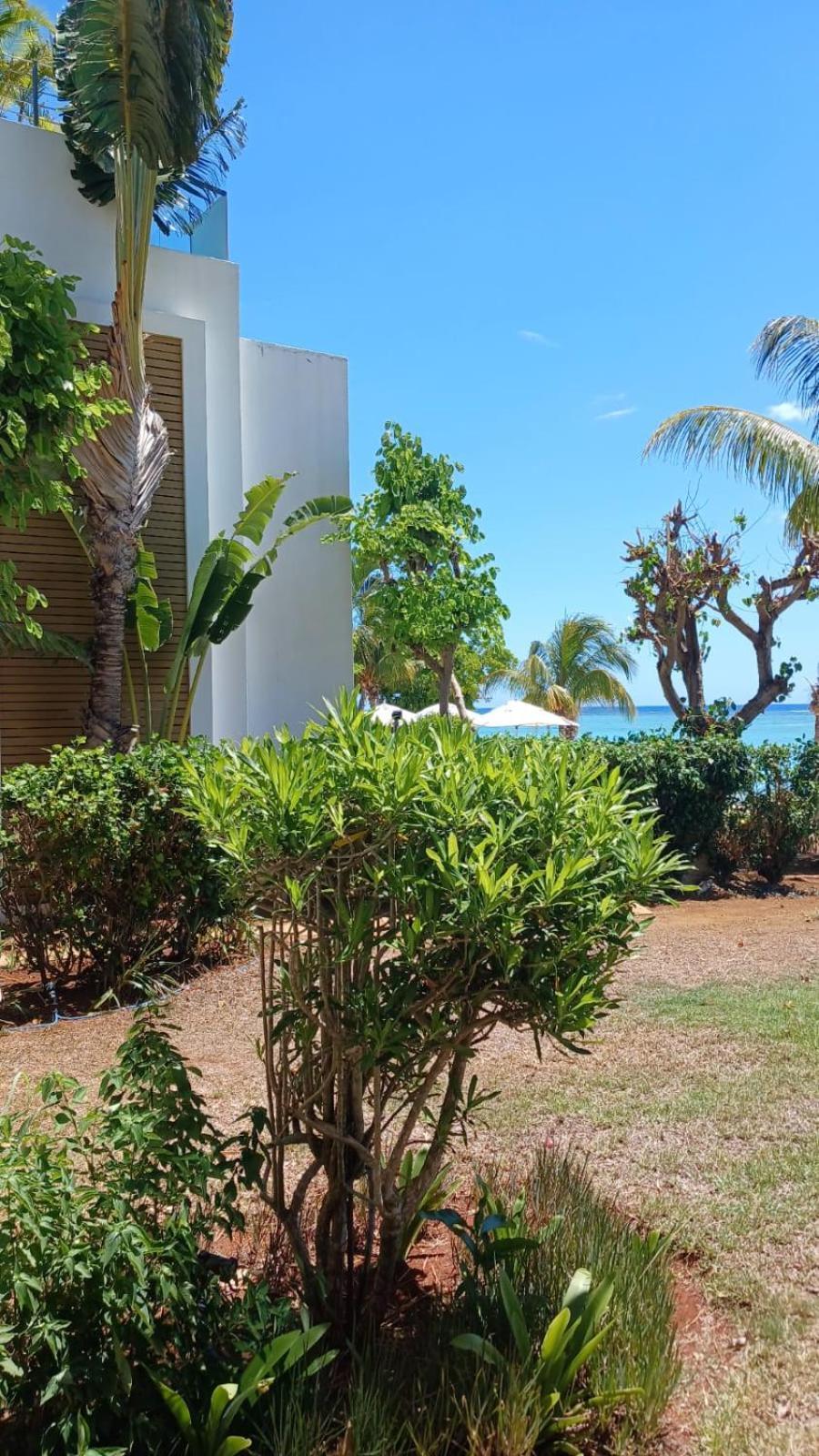 Apartment Cap Ouest Luxury Beachfront Flic en Flac