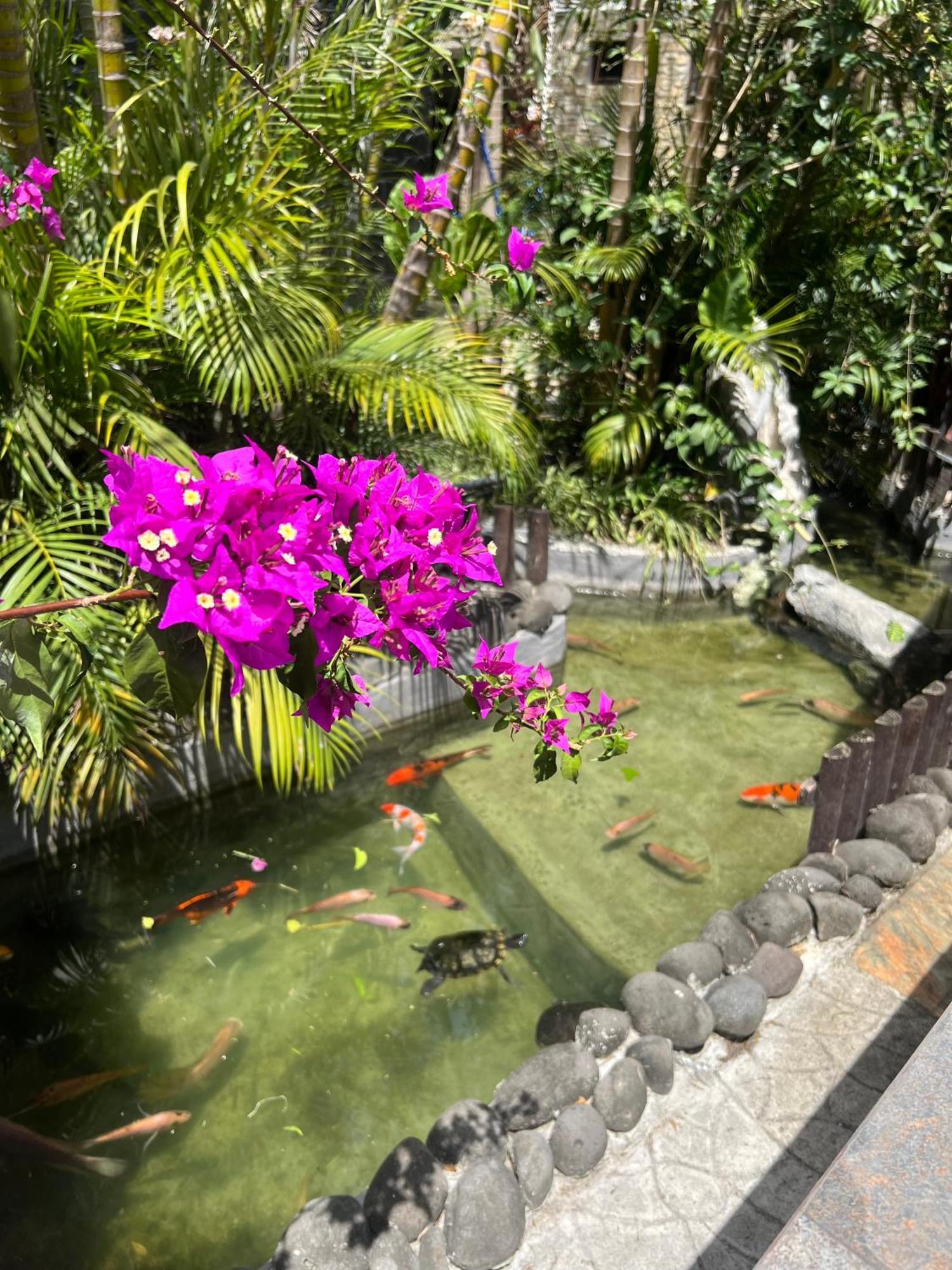 Sunshine Paradise - - 150m Trou aux Biches