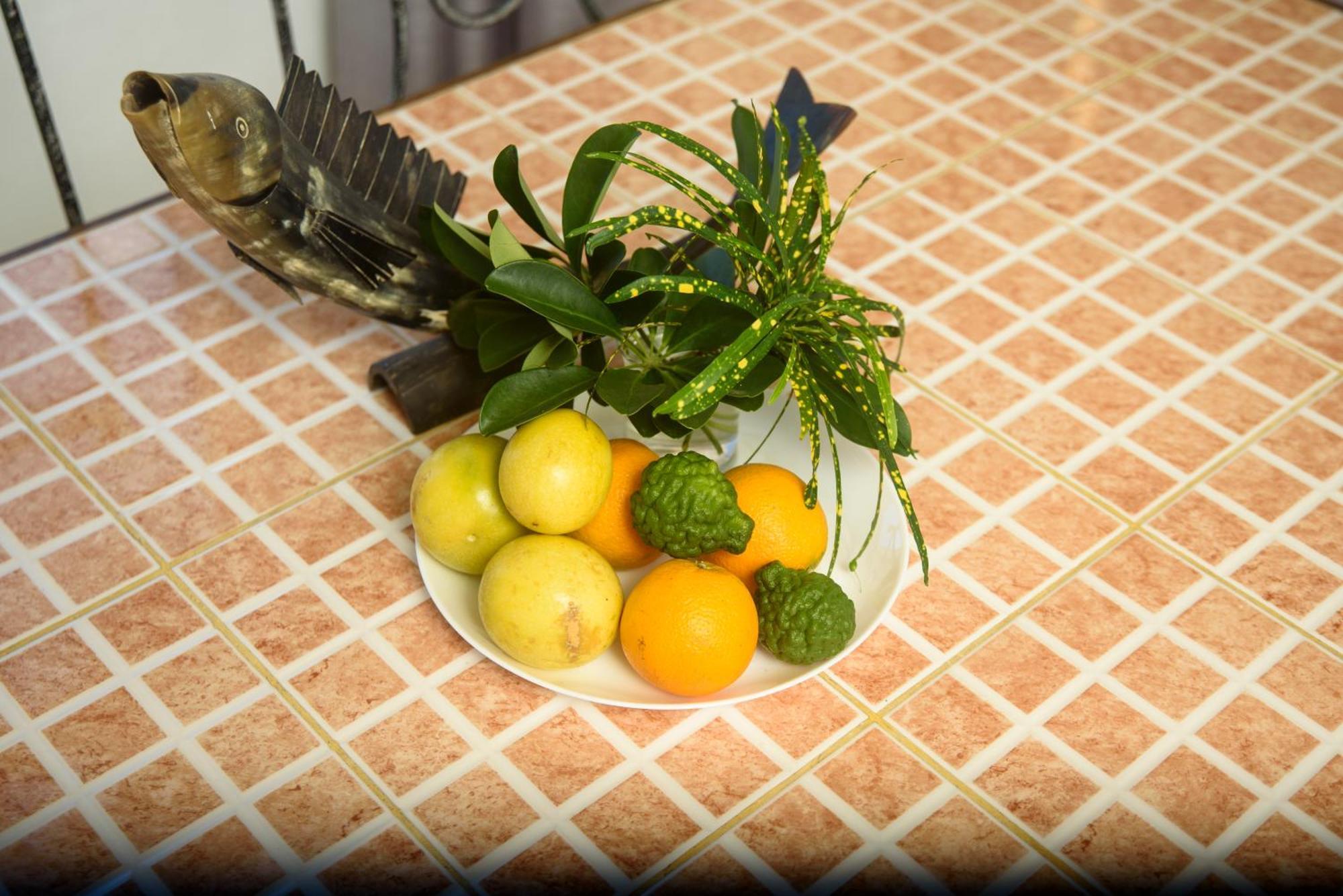 Le Dodo Bed & Breakfast Trou d'Eau Douce