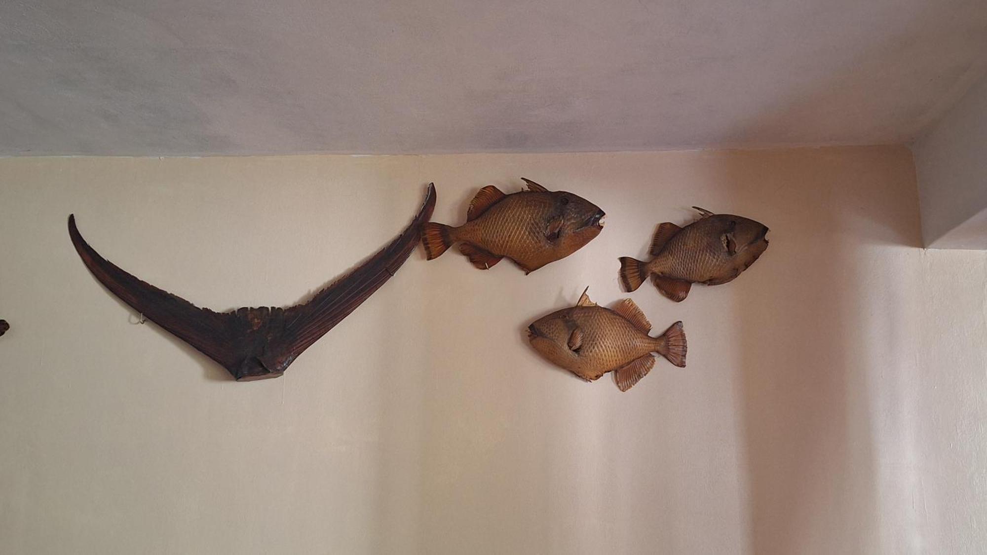 Chez Madam Rose Homestay Le Morne