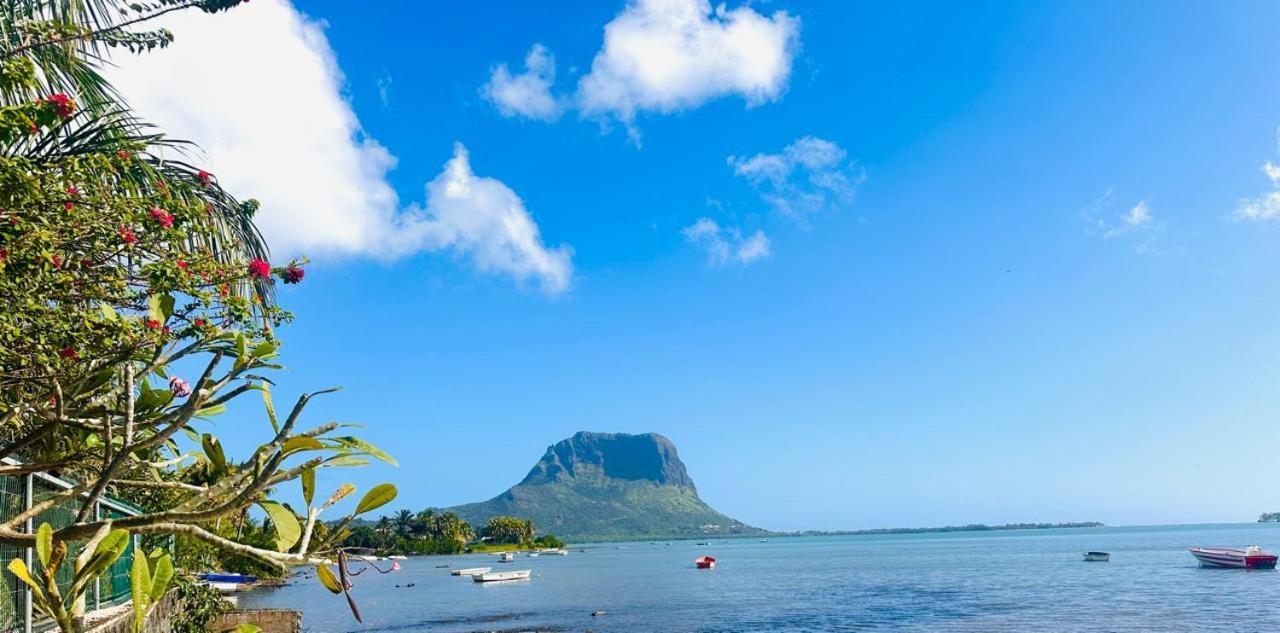Lavender * Le Morne