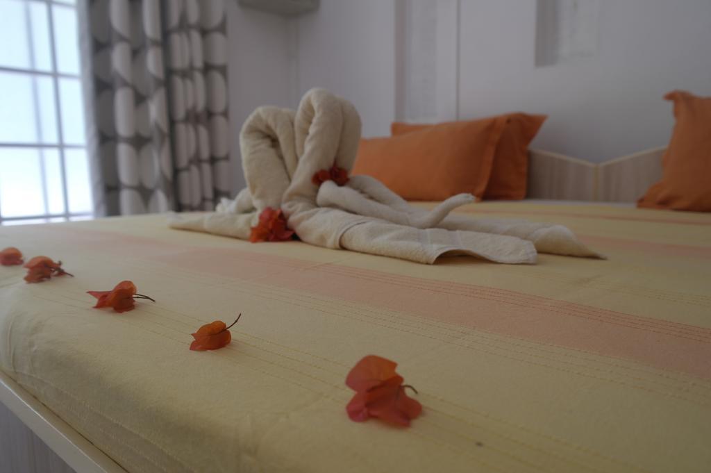 Rodrigues Coco Guest house