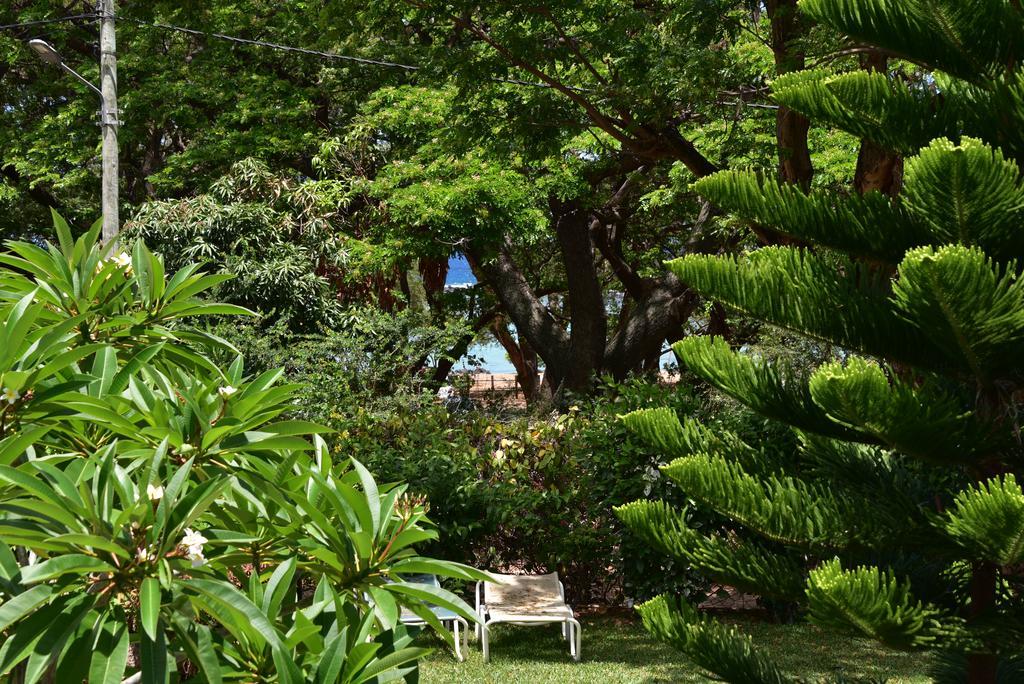 Osumare Guest house Flic en Flac