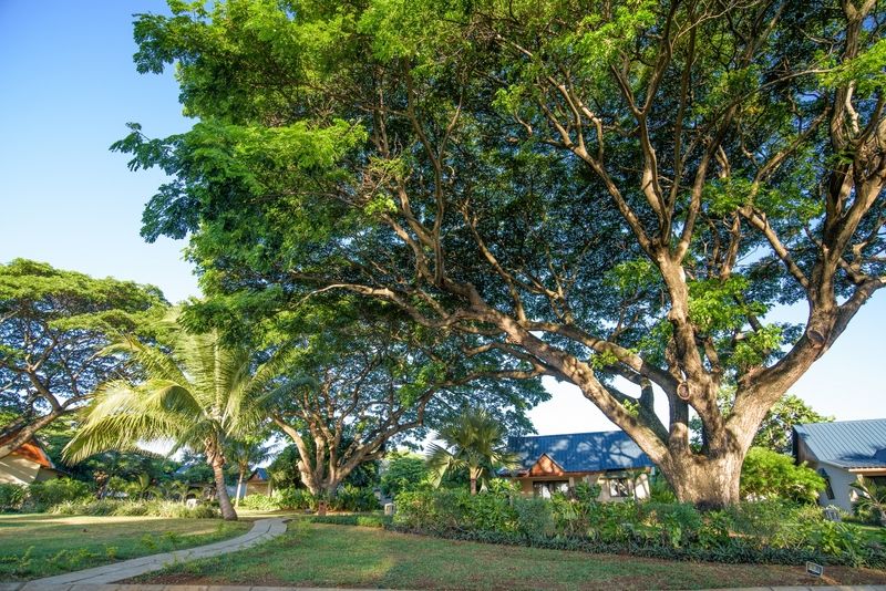 Resort Anelia & Flic en Flac