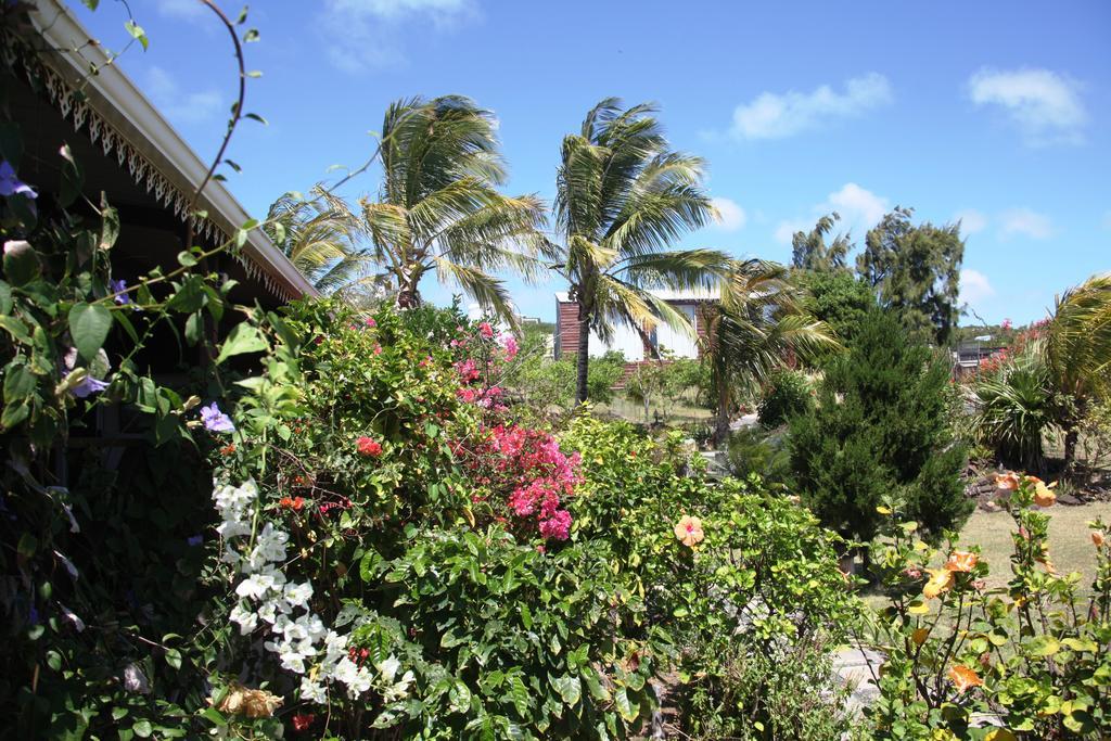 Foulsafat Lodge