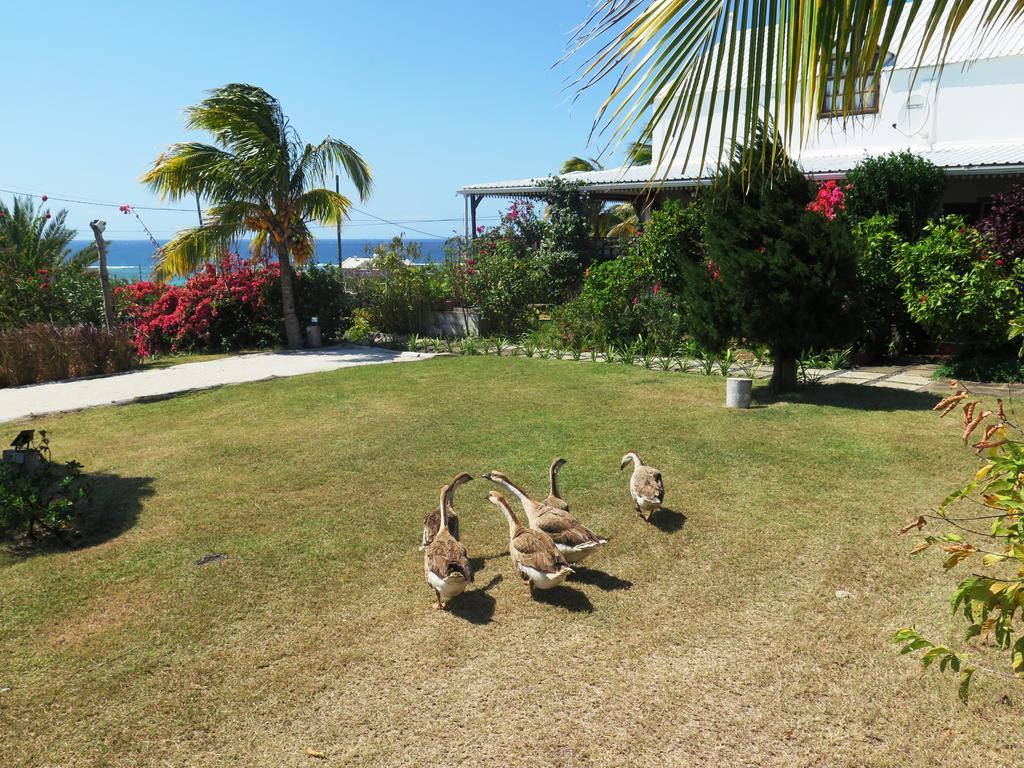 Foulsafat Lodge Bambou