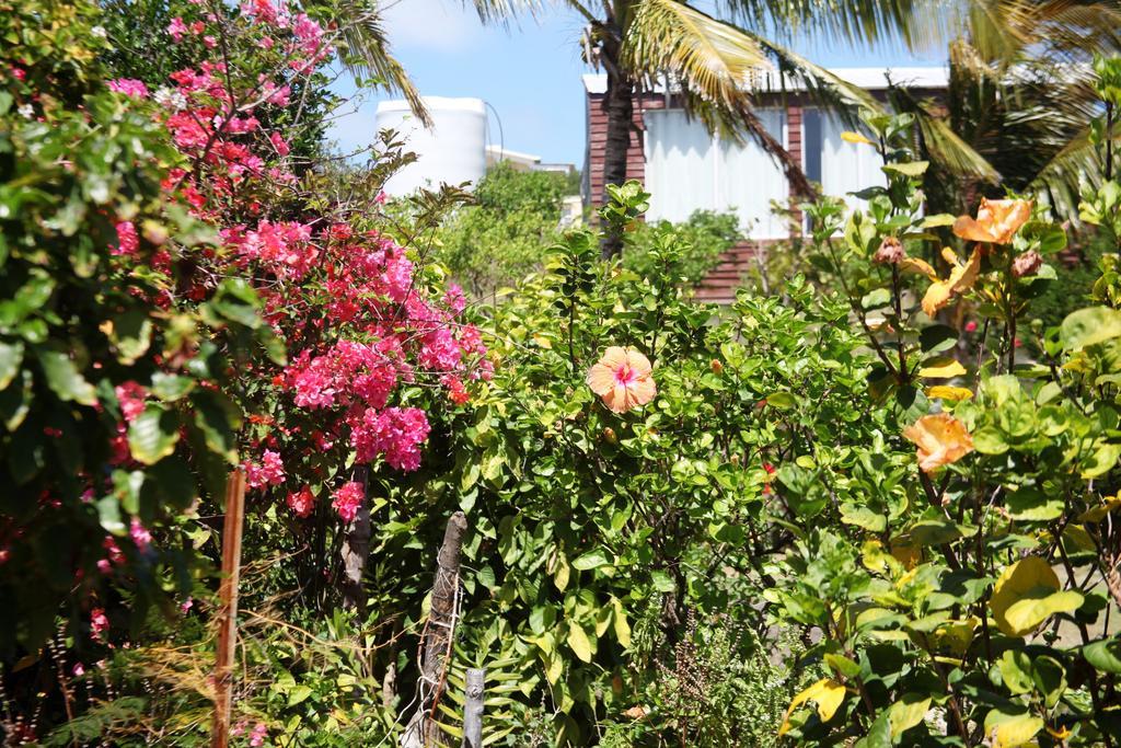 Foulsafat Lodge Bambou