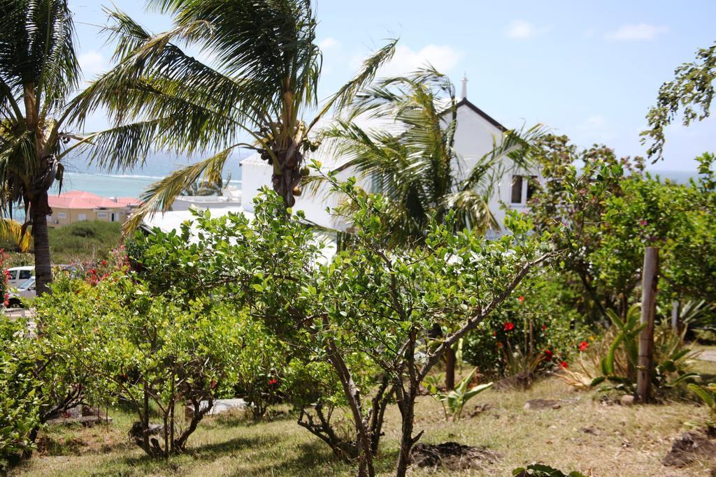 Lodge Foulsafat Bambou