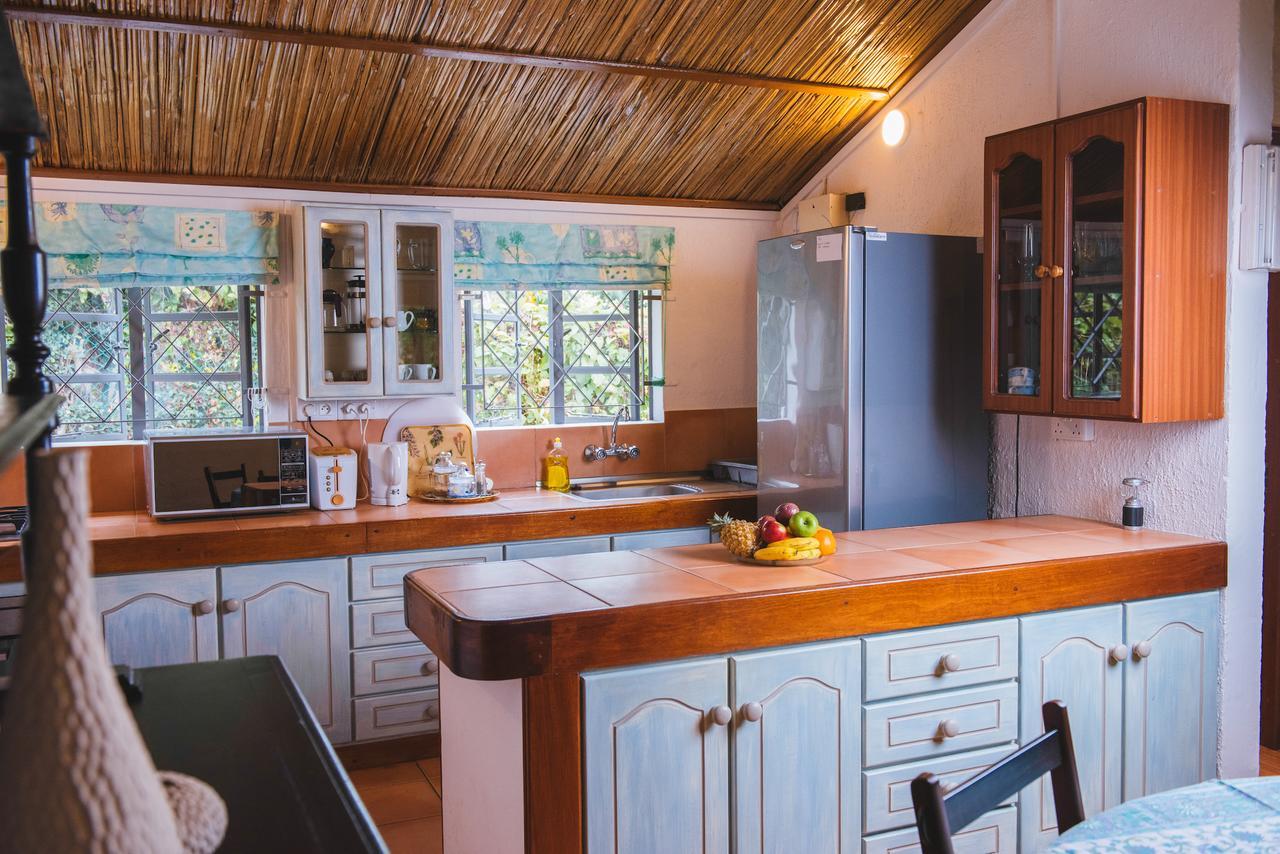 Coconuts Lodge *