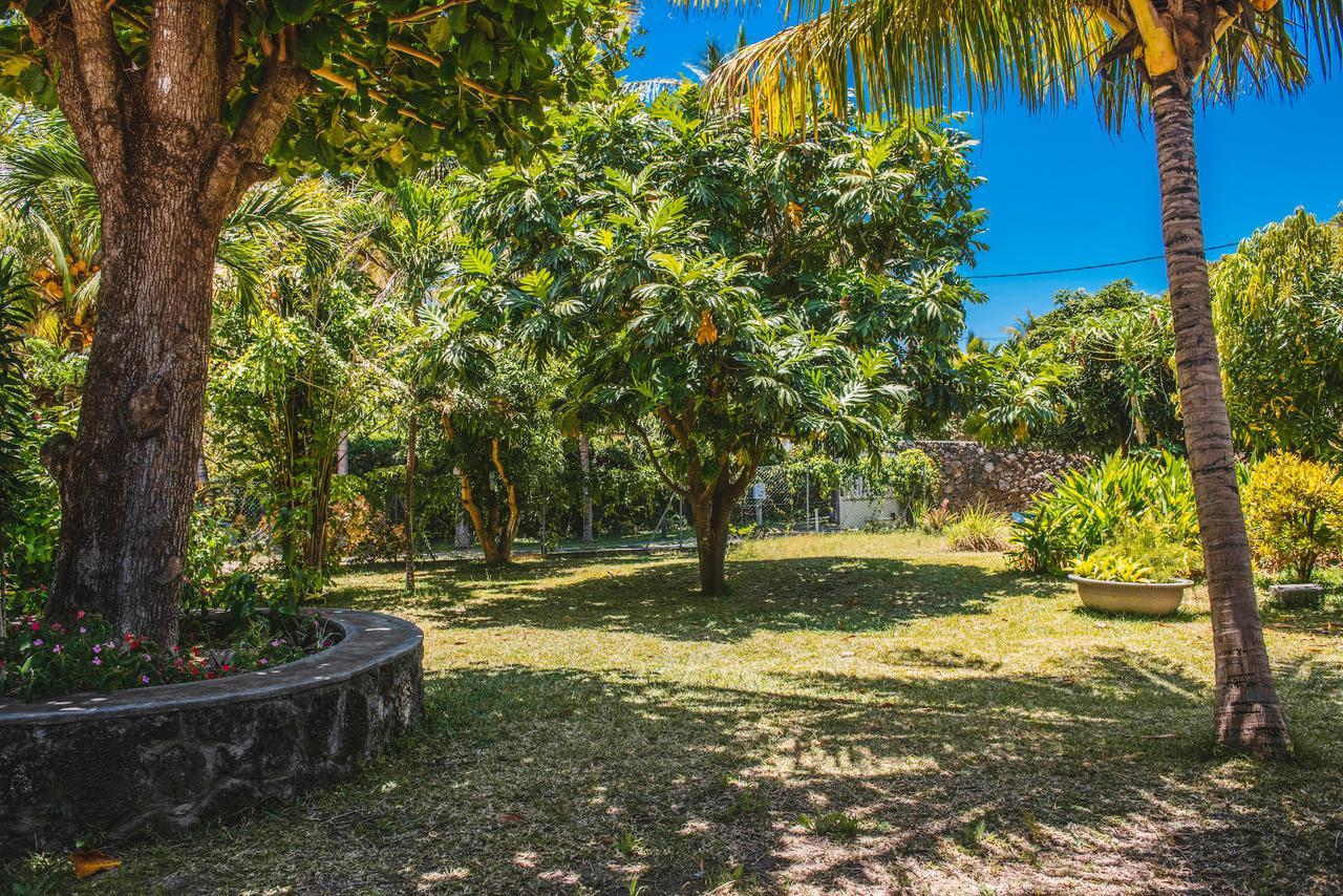 Coconuts Lodge *