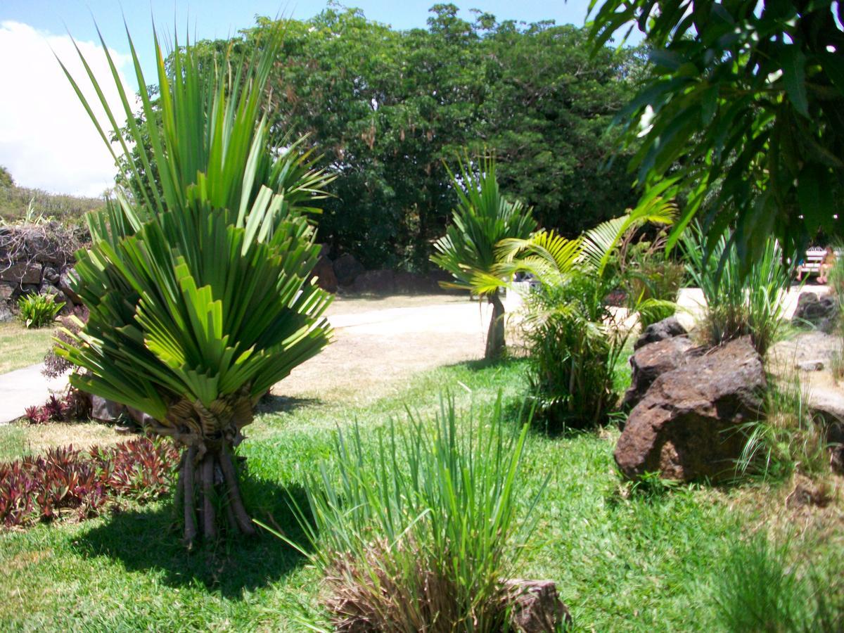 Hotel Asso Belle Mare