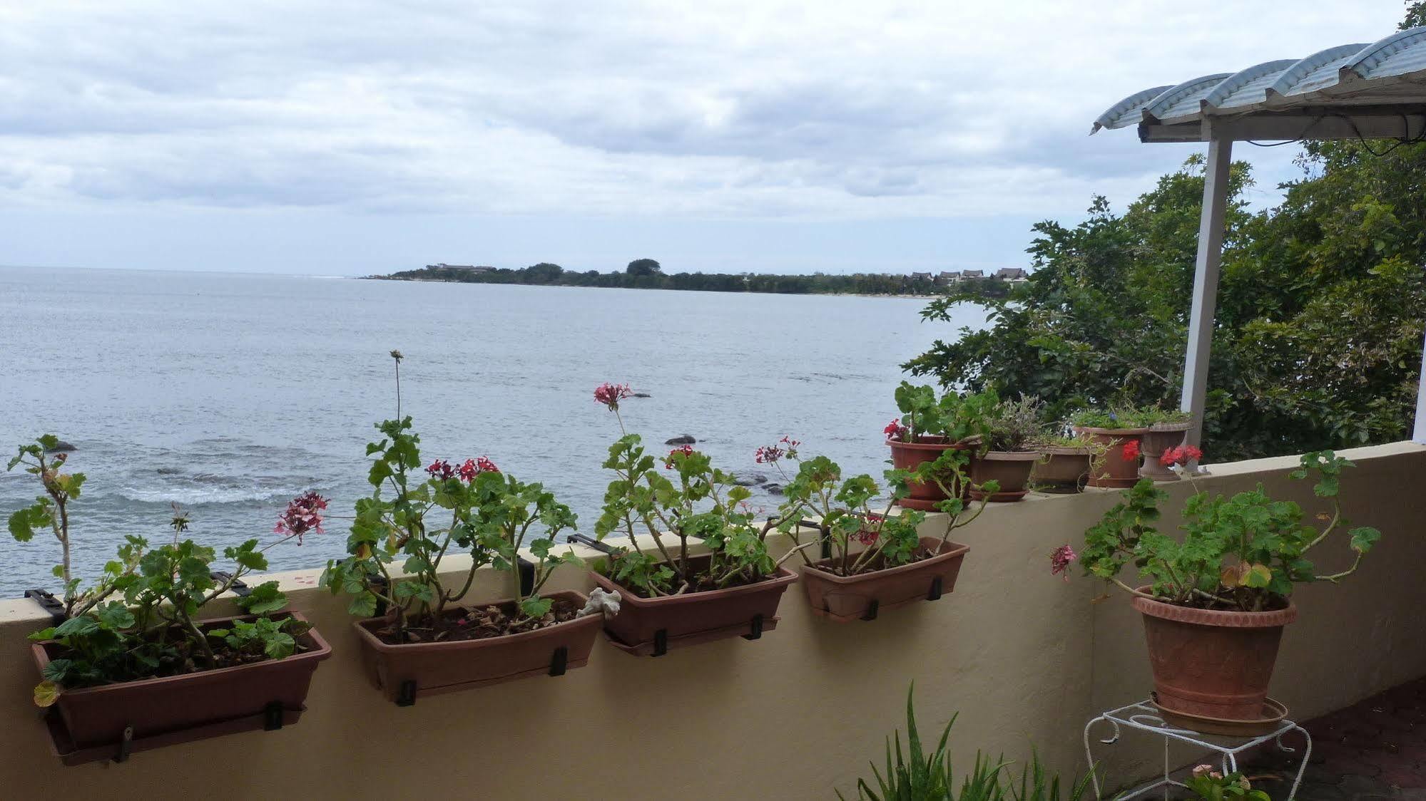 Le Cactus Baie-du-Tombeau