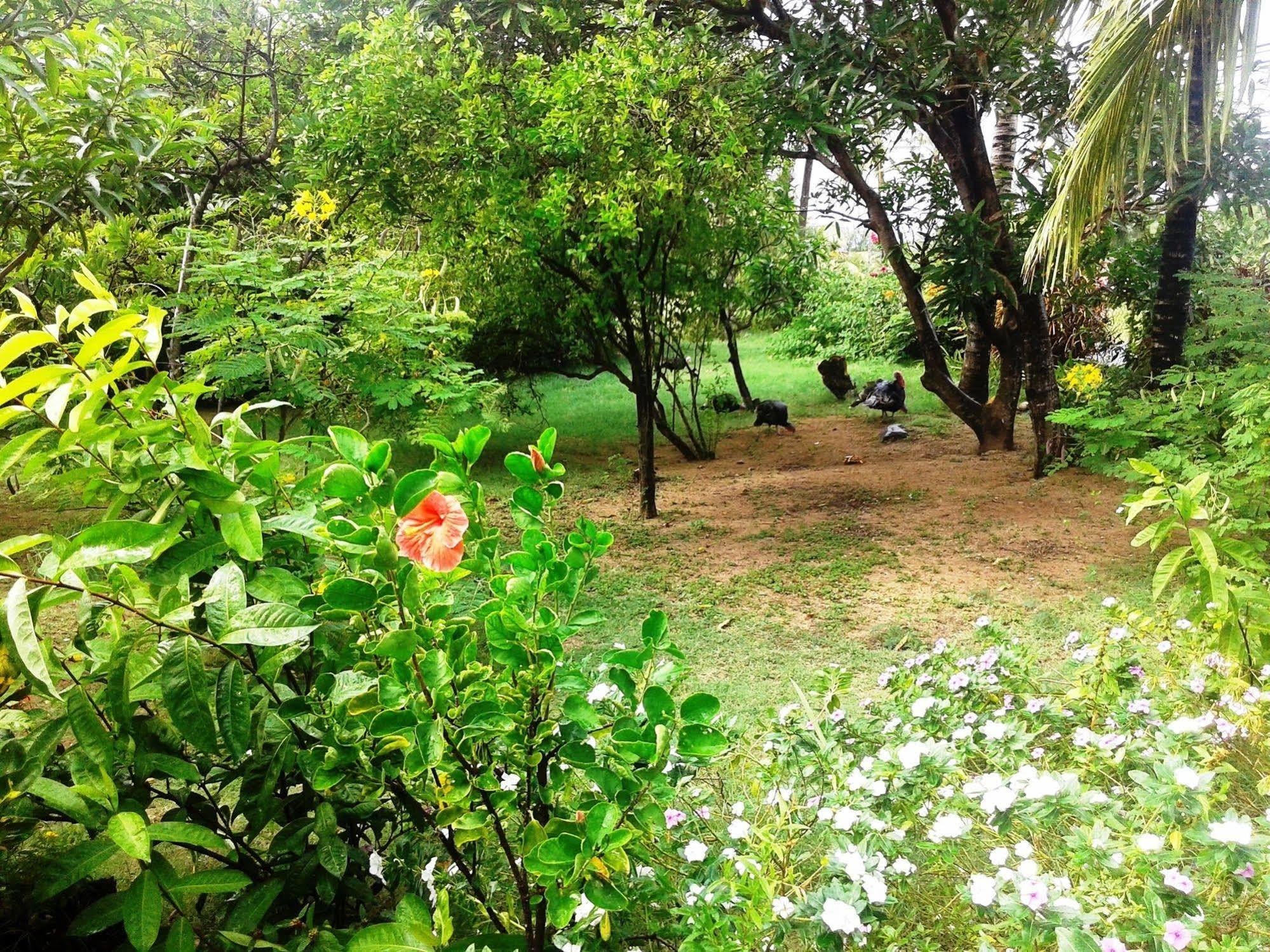 Guest house Chez Ronald Port Mathurin