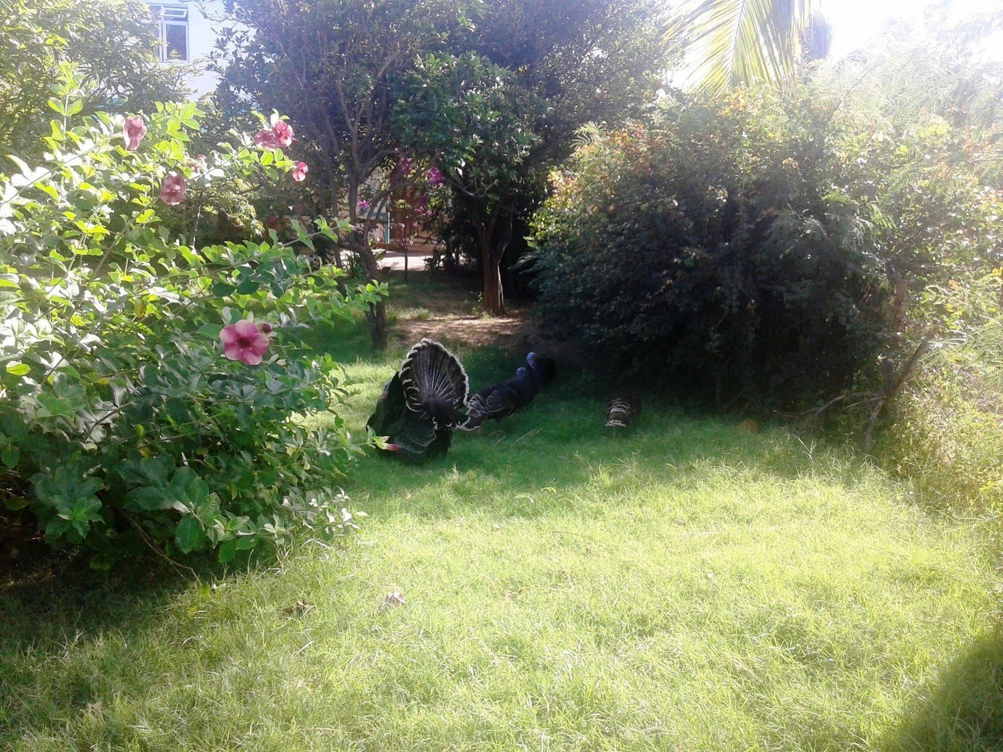 Guest house Chez Ronald Port Mathurin