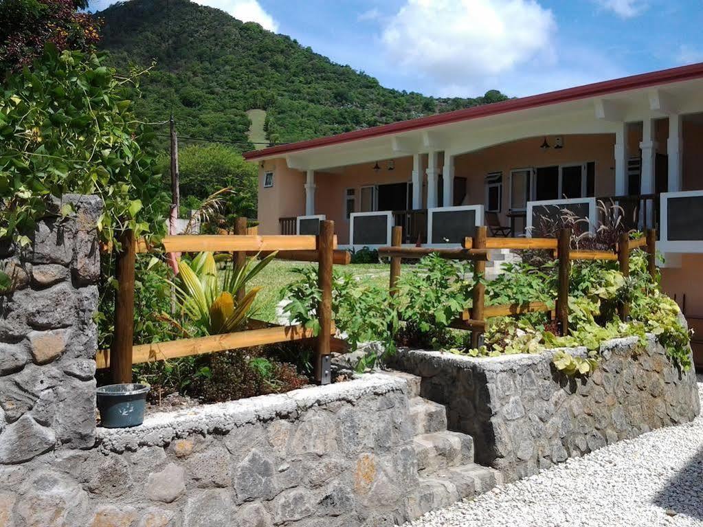 Hotel Mountain View 3*