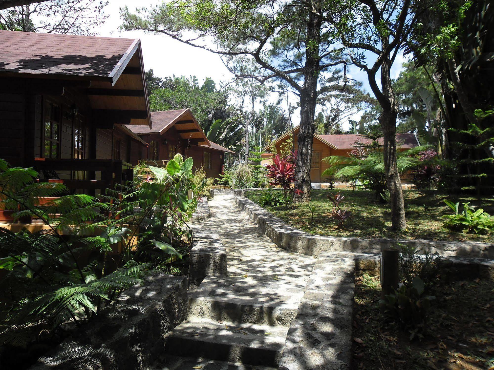Hotel Le Domaine De L Arbre Du Voyageur
