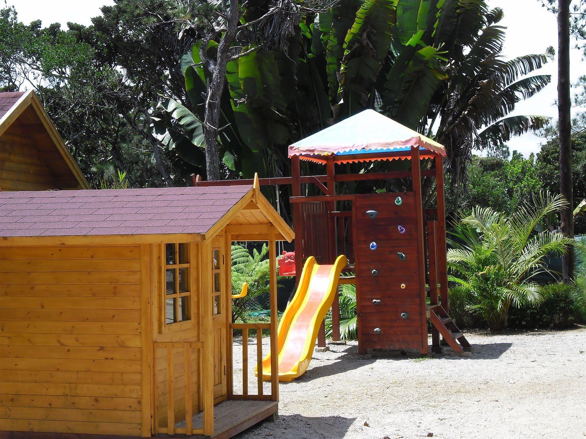 Le Domaine De L Arbre Du Voyageur Curepipe