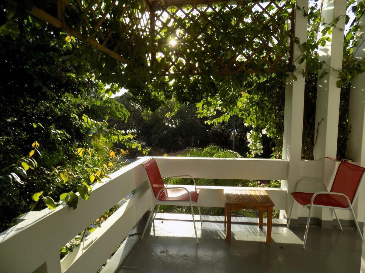 Guest house Osumare