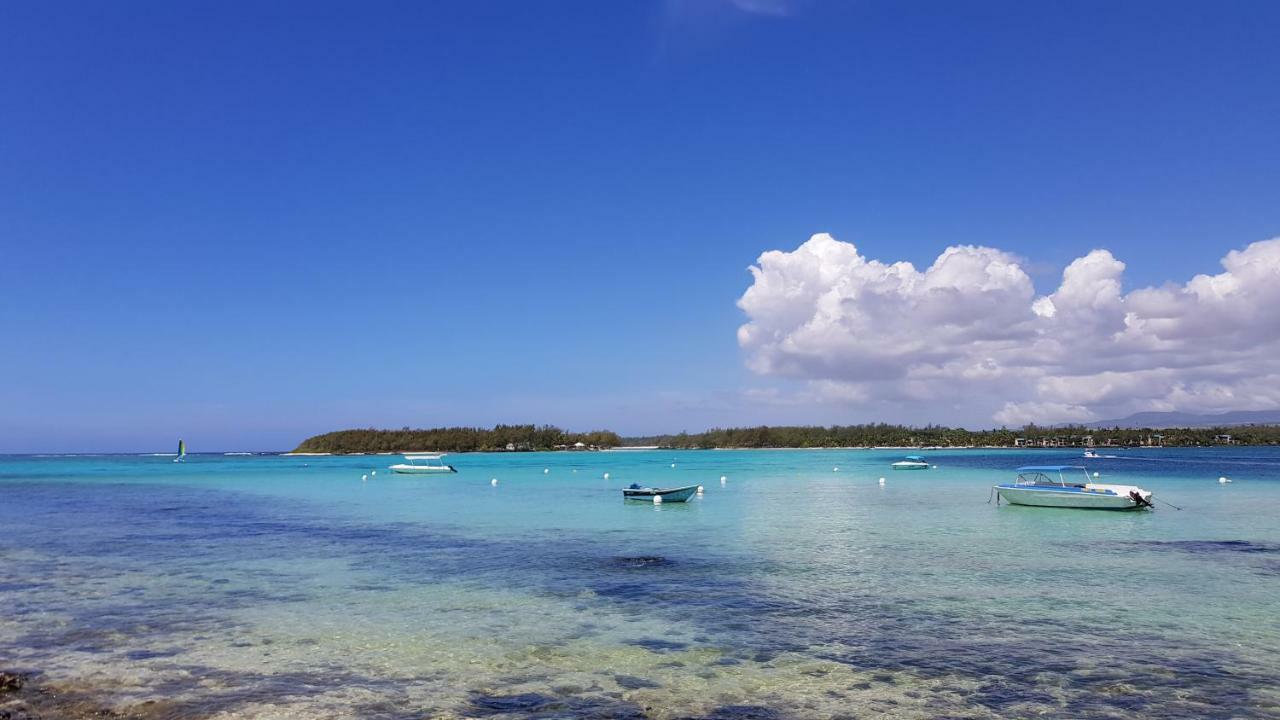 Soleil D'ete *