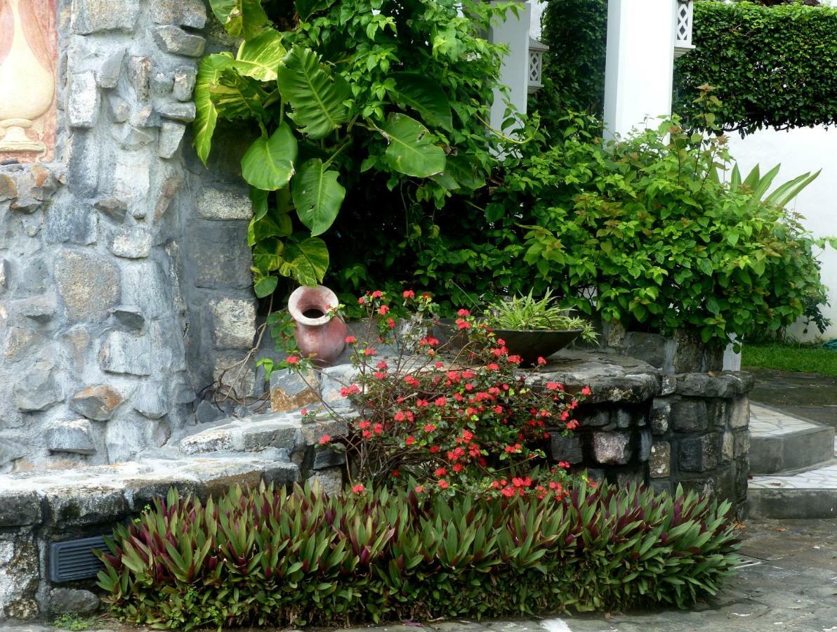 Guest house Chillpill 3*